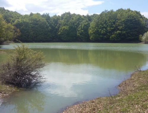 I volontari Oasi WWF organizzano visita guidato al Lago Secco