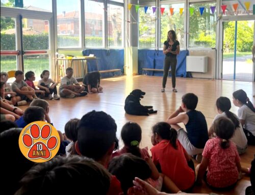 La Magia di “Un’amica in più”