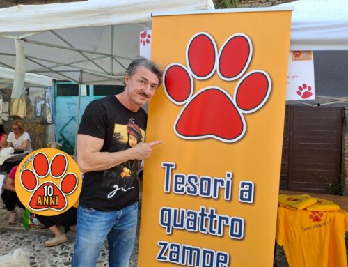 VIDEO – Il comico di “Made in Sud” Marco Capretti su Tesori a quattro zampe