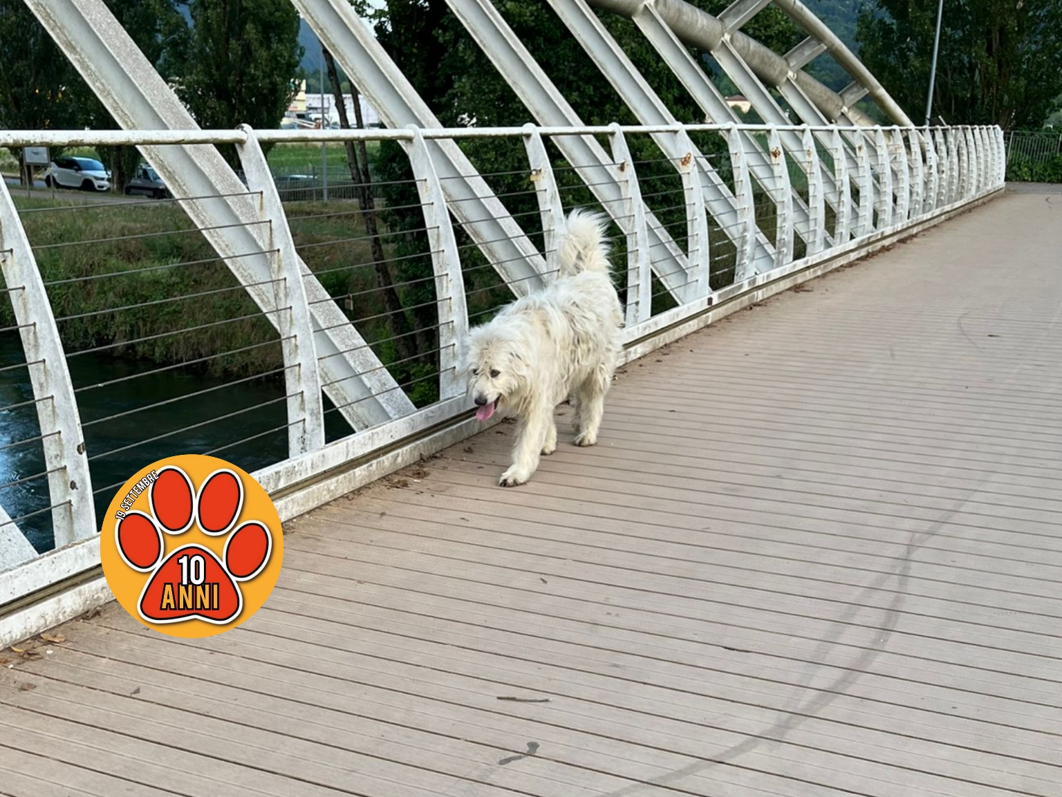 Polish_20250616_203411450