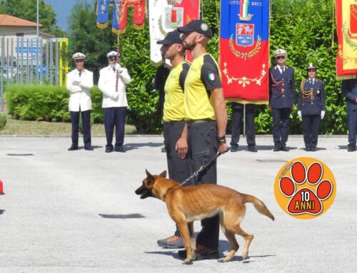 Frozen, cane della Guardia di Finanza di Antrodoco, lascia il servizio attivo causa infortunio