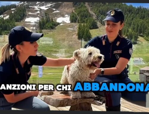 VIDEO – Il nuovo spot della Polizia contro l’abbandono degli animali