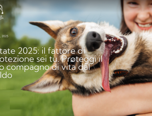 Estate 2025, LNDC: “Il fattore di protezione sei tu. Proteggi il tuo compagno di vita dal caldo”