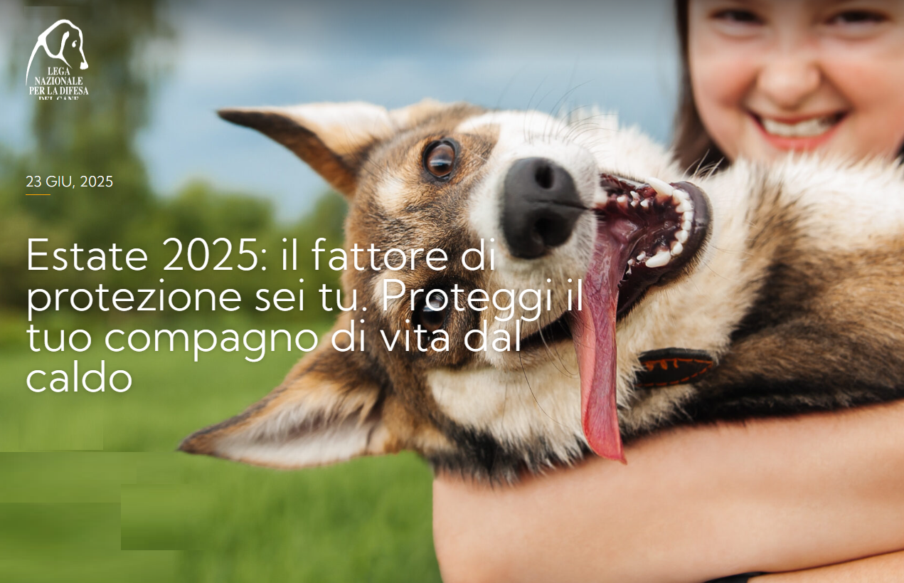 LNDC_estate_2025