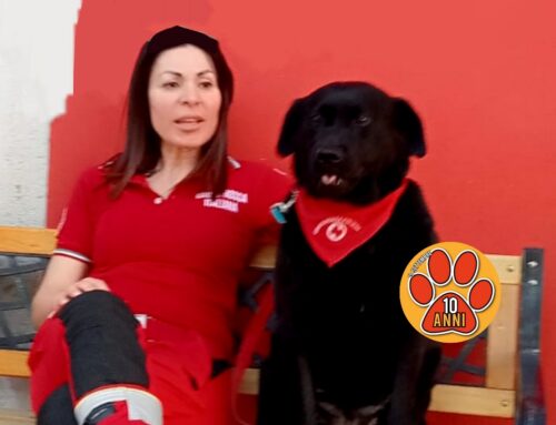 APPUNTI A SEI ZAMPE – Simona e Aida: “Dirti grazie è riduttivo!”