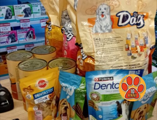 Compie gli anni e regala cibo ai cani senza famiglia