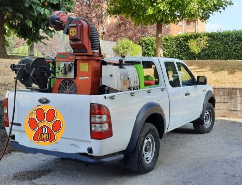 Tenere animali e cucce in casa: disinfestazione a Fara in Sabina e frazioni contro insetti alati nocivi