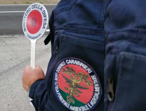 Cantalice, bracconiere denunciato dai Carabinieri Forestale