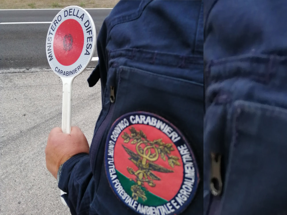 carabinieri_forestale_nuova_2025