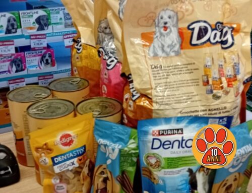 Compie gli anni e regala cibo ai cani senza famiglia