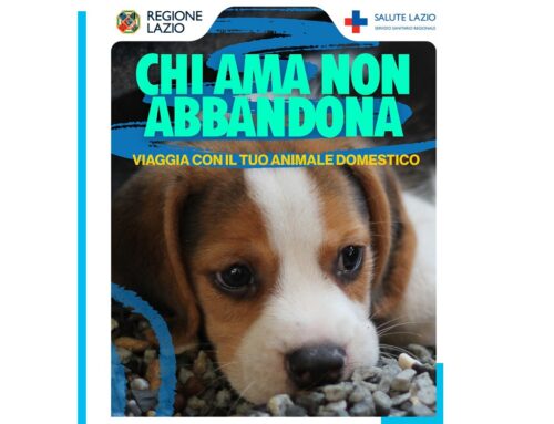 “Chi ama non abbandona”, la campagna della Regione Lazio a tutela degli animali
