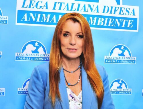 A Naro (Agrigento) extracomunitario sgozza un cane in pieno centro, Brambilla: “Chi non ha diritto di restare e si rende responsabile di crimini simili deve essere punito”