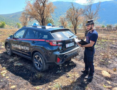 Sei persone denunciate per incendio colposo che ha distrutto 80.000mq di bosco