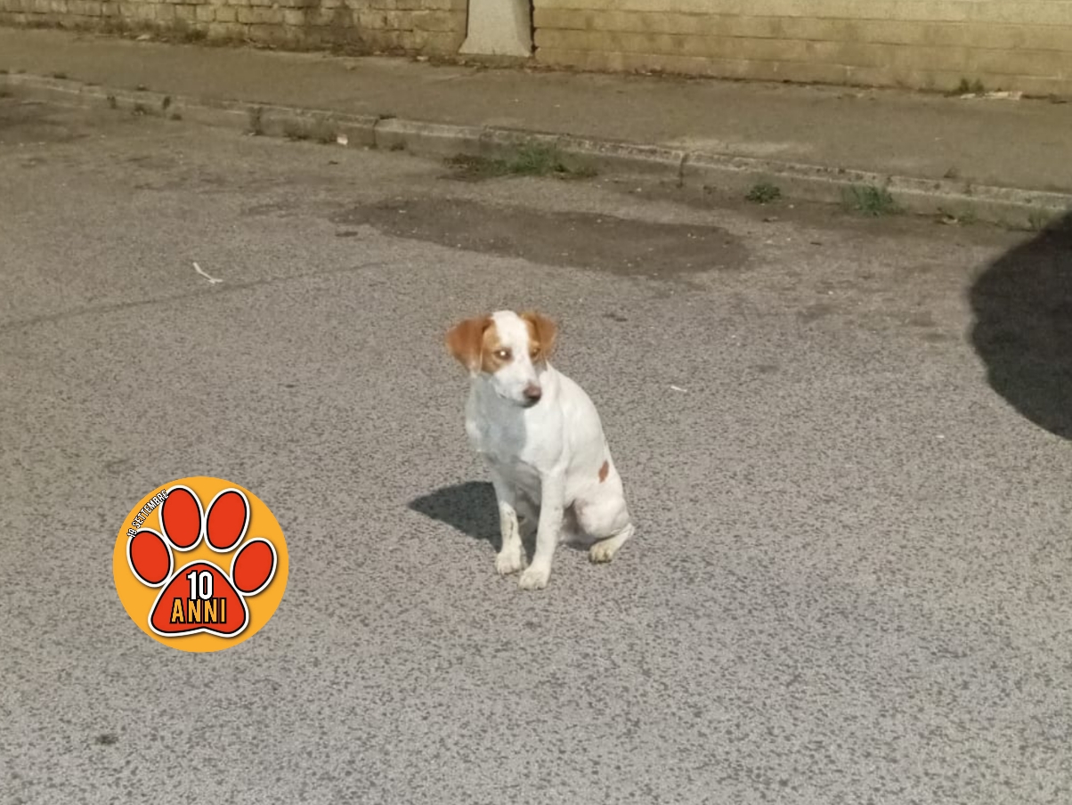 Polish_20250901_233418365