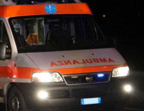 Uomo e cane uccisi da un’auto nell’Aretino, On. Brambilla: “Pirata due volte, punire il responsabile”