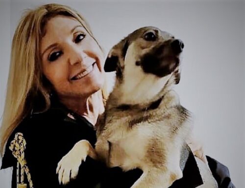 Uscirà il 30 settembre il libro dell’avvocatessa Giada Bernardi: “L’avvocato degli animali”