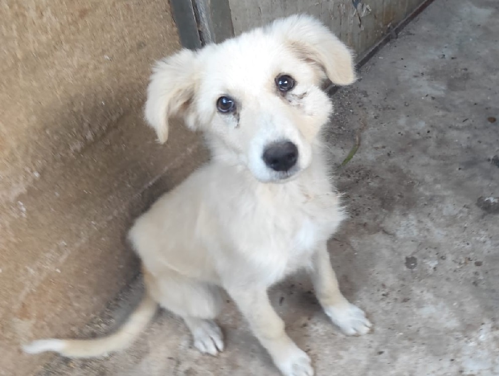 571791124_10239750853492251_4334618690810268526_n