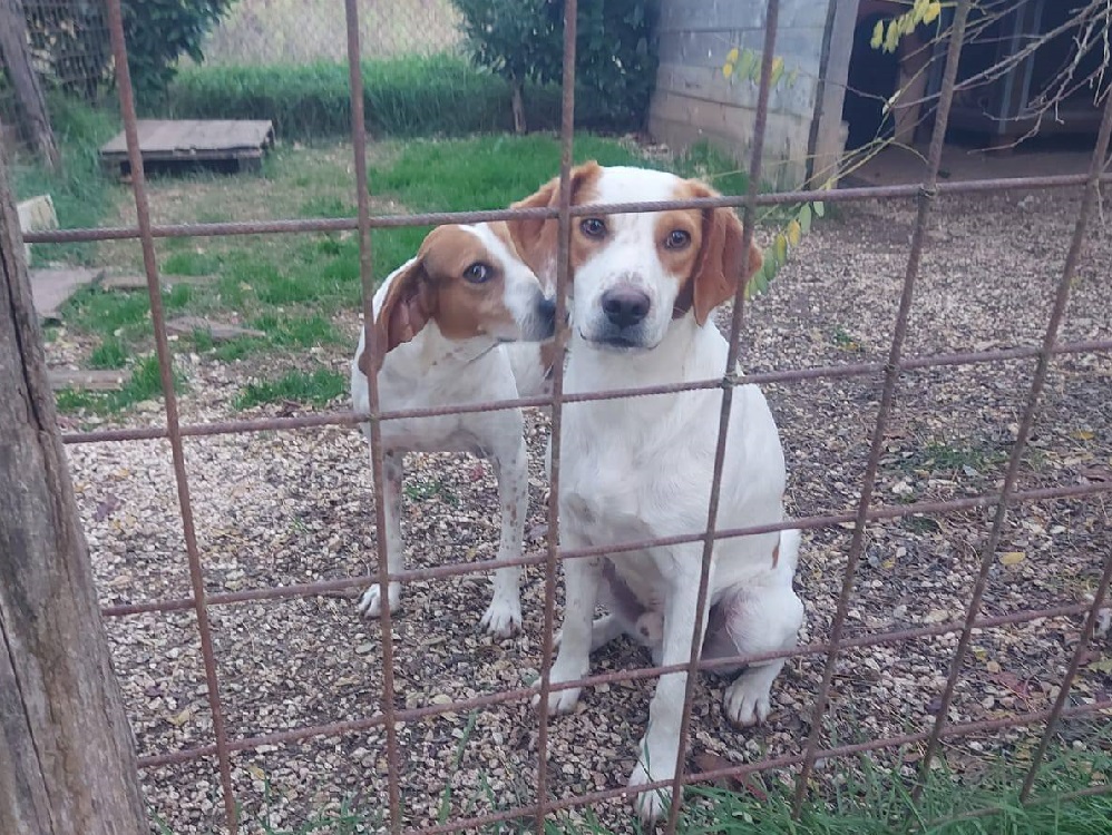 574546374_1119947110350324_7848800806762758382_n