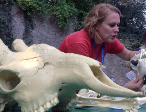 Ad ottobre al BioParco di Roma “Incontri di Natura”