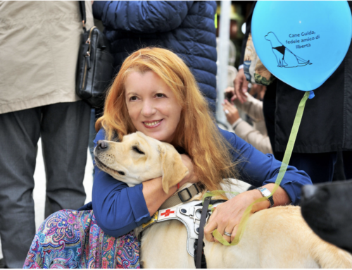 Giornata del cane guida, On. Brambilla: “Bene riconoscimento di tutti i cani di assistenza”