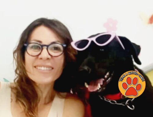 La cagnolina Aida è tornata a scuola: compagna di classe speciale per tutti i bambini