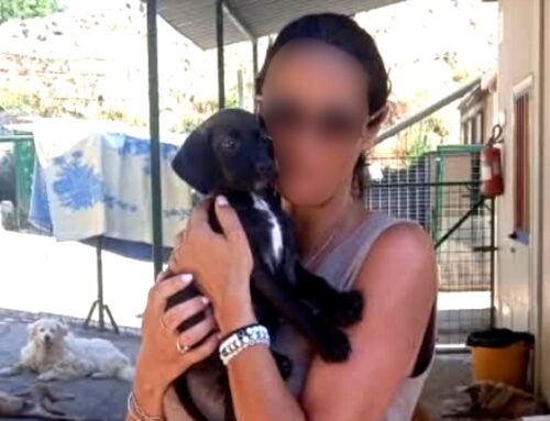 Freya ha trovato casa