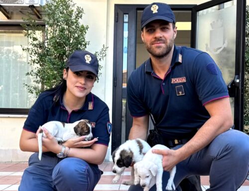 Poliziotti di Crotone salvano sei cuccioli di cane abbandonati in un sacco sul ciglio della strada