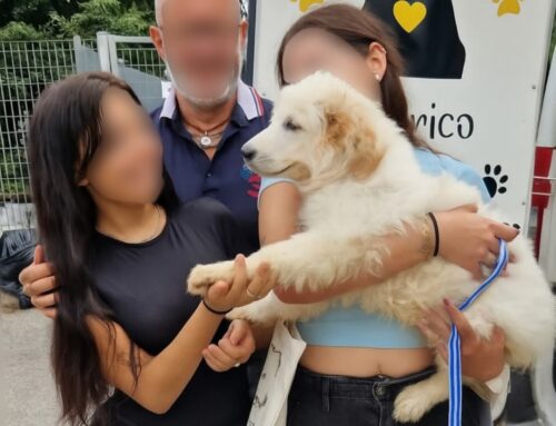 Silverio è stato adottato!
