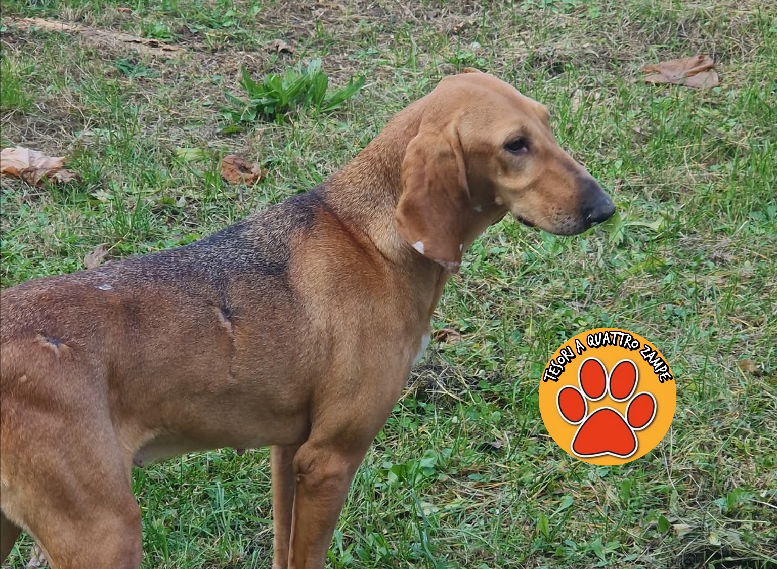 Polish_20251029_145048681