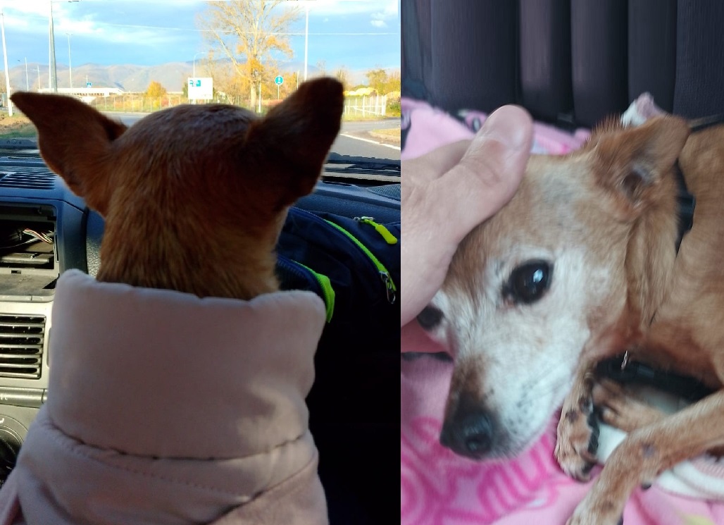 591624109_10215450373850089_2757518753335196955_n