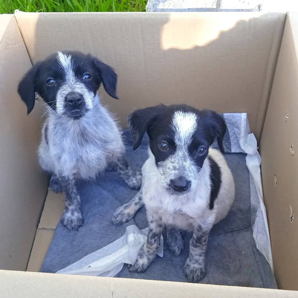 FB_IMG_1763126716333