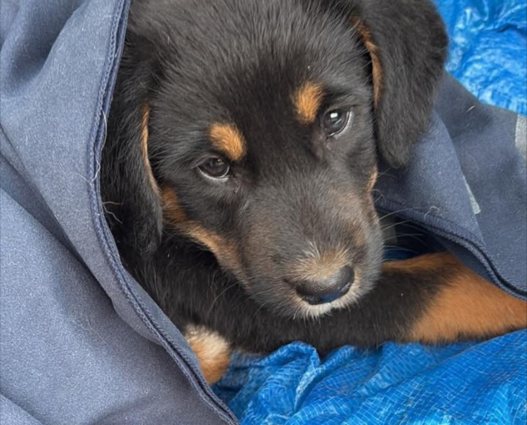 Polish_20251101_170704663