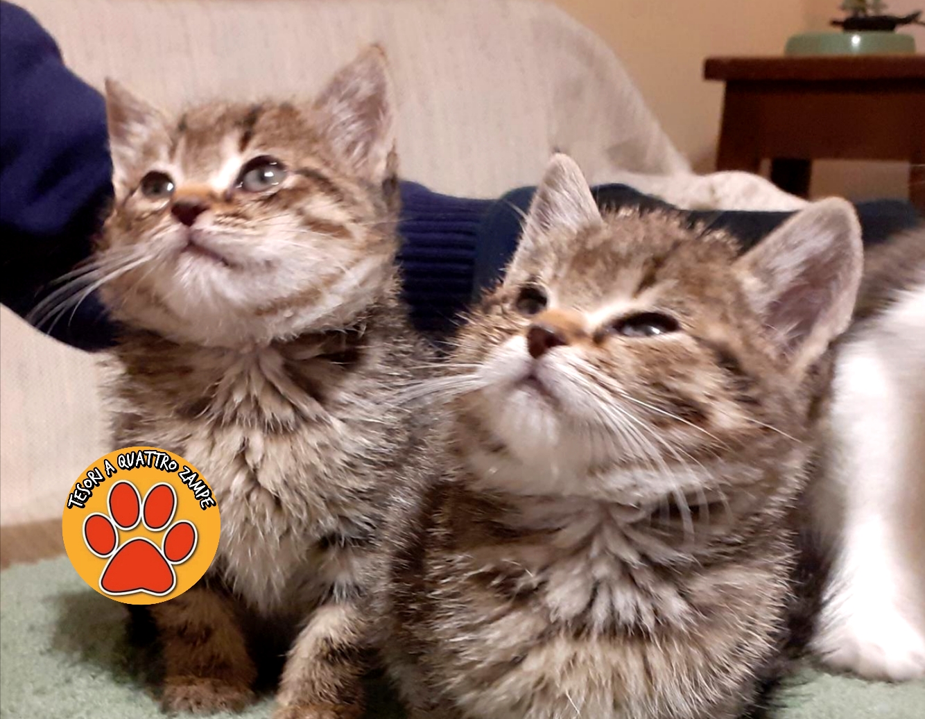 Polish_20251104_142721057