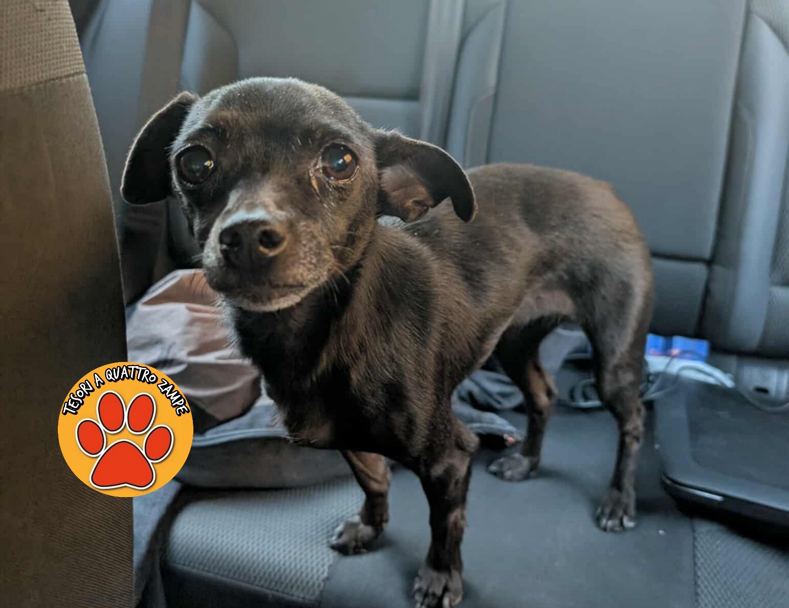 Polish_20251105_120518501