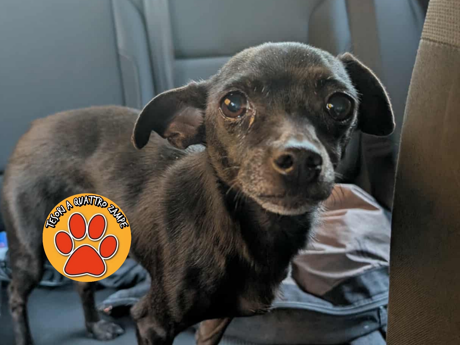 Polish_20251105_224723490