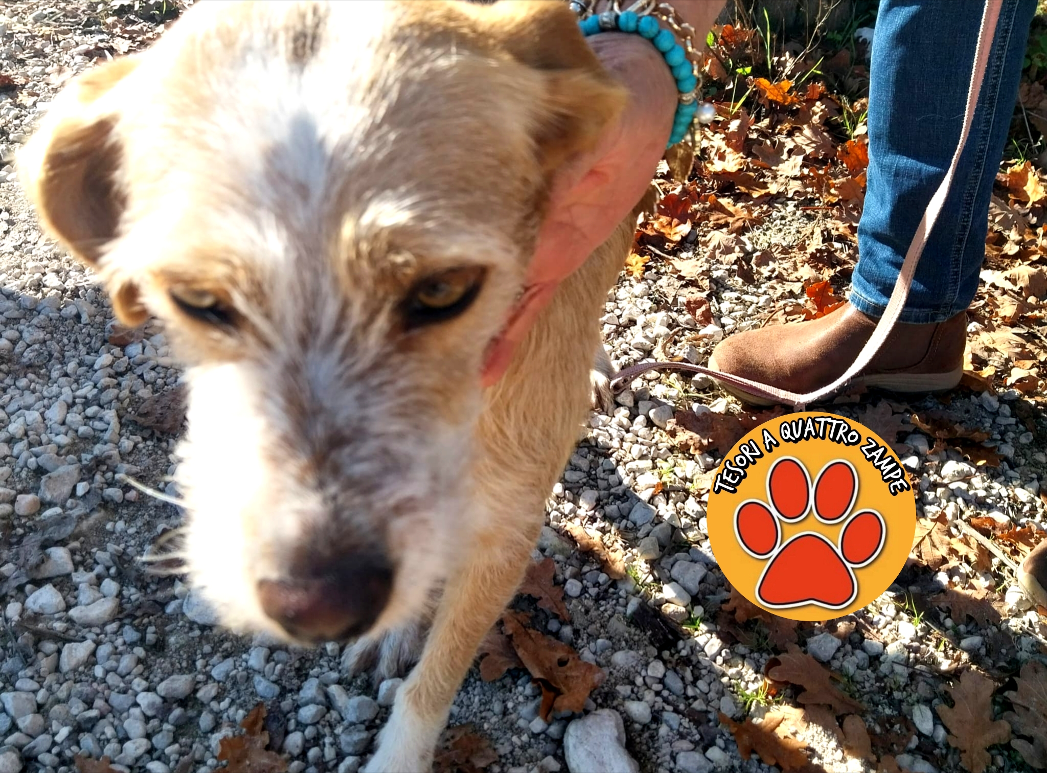 Polish_20251108_111529902