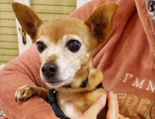 Adottata a 14 anni: Bella scopre la vita!