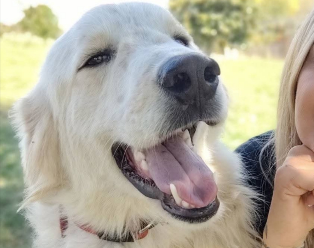 Polish_20251116_222253864