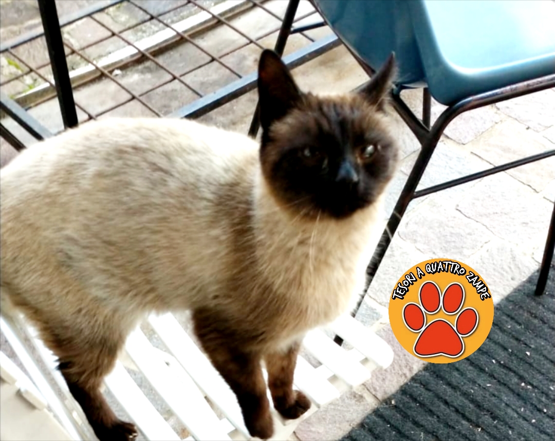 Polish_20251117_173546961