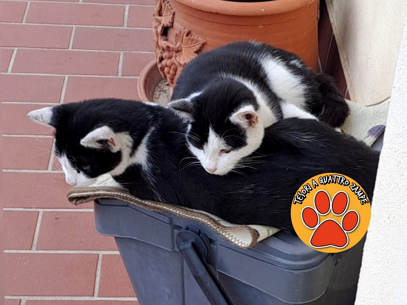 Polish_20251118_124850040