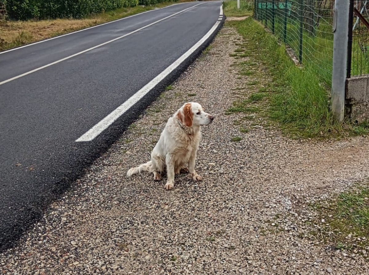 Polish_20251118_214108829