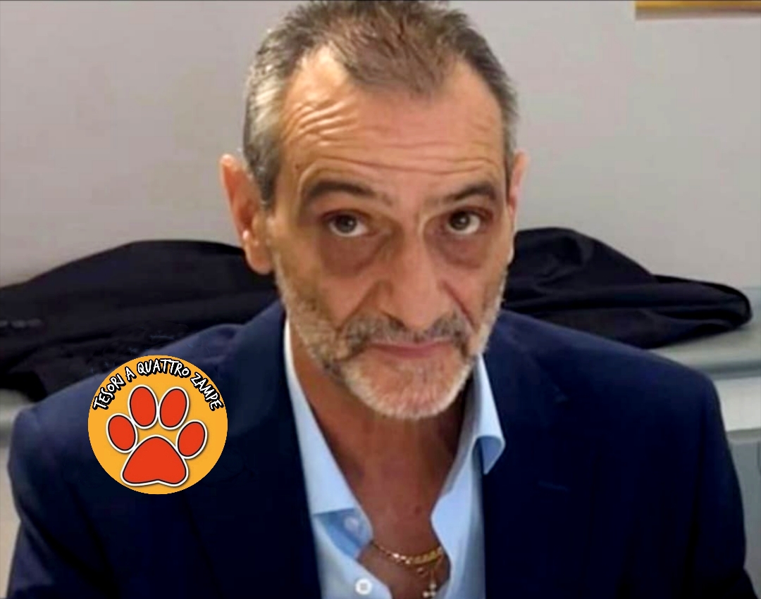 Polish_20251119_193552989