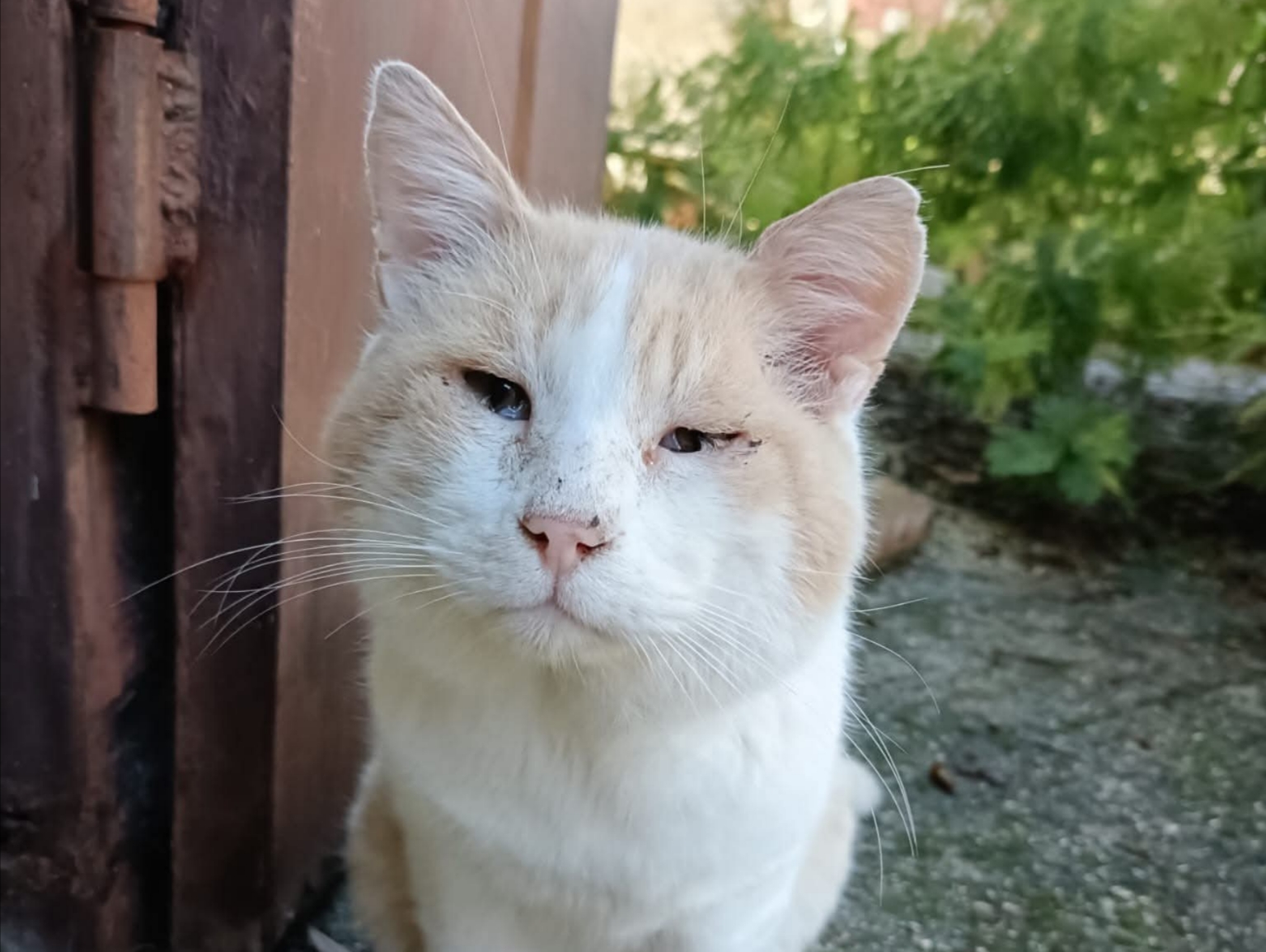 Polish_20251122_164438914