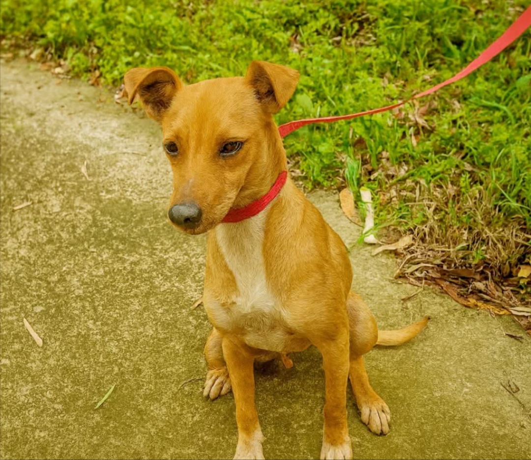 Polish_20251124_221558716