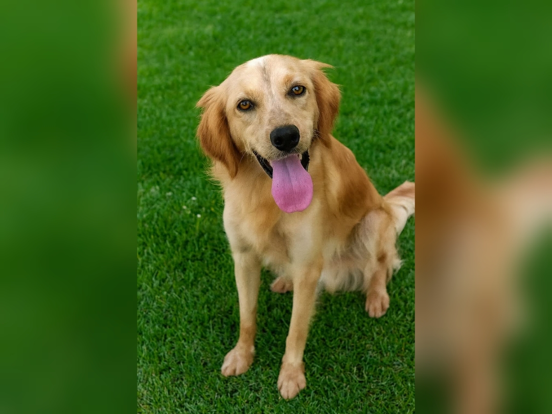 Polish_20251126_194200660