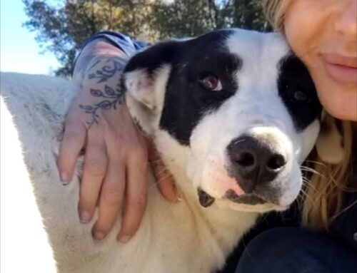 Glenda: sono triste perché non ho una famiglia