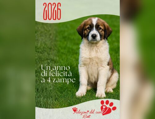 I cani del Canile di Rieti nel Calendaeio 2026