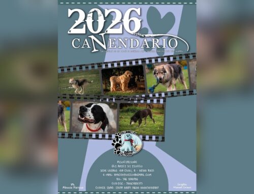 In stampa il Calendario con i cagnolini del Rifugio Gli Amici di Fiocco