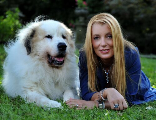 Tante nuove storie su “Dalla parte degli animali”