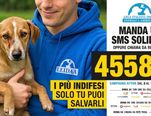 LEIDAA: dal 2 all’11 novembre invia un SMS solidale al numero 45587 e aiuta gli animali senza difesa